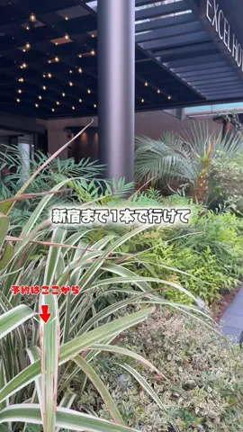 しー：0歳2歳の姉妹とお出かけのTikTok投稿