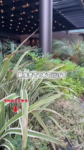 しー：0歳2歳の姉妹とお出かけのTikTok投稿