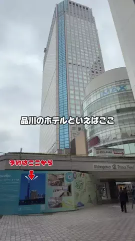 しー：0歳2歳の姉妹とお出かけのTikTok投稿