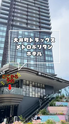 しー：0歳2歳の姉妹とお出かけのTikTok投稿