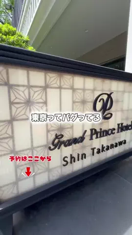 しー：0歳2歳の姉妹とお出かけのTikTok投稿