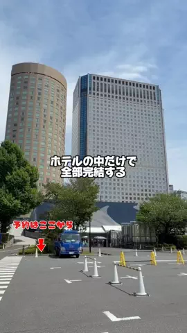 しー：0歳2歳の姉妹とお出かけのTikTok投稿