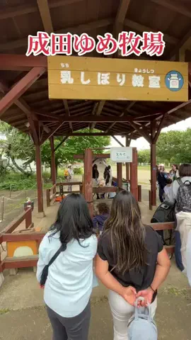 travel_diary_kouchanのTikTok投稿