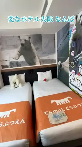 travel_diary_kouchanのTikTok投稿