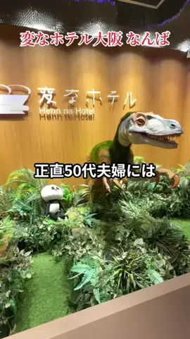 travel_diary_kouchanのTikTok投稿