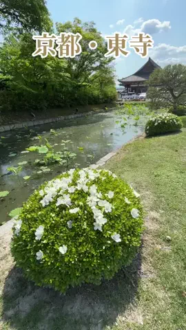 travel_diary_kouchanのTikTok投稿
