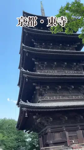 travel_diary_kouchanのTikTok投稿