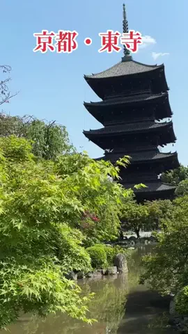 travel_diary_kouchanのTikTok投稿