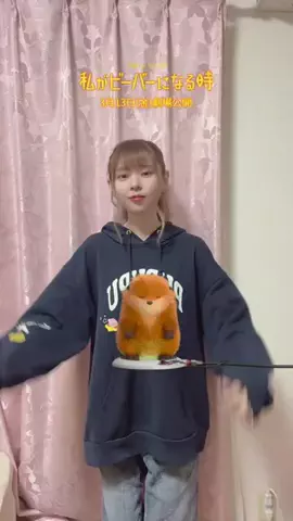 あしゅしゅ🧸🍎のTikTok投稿