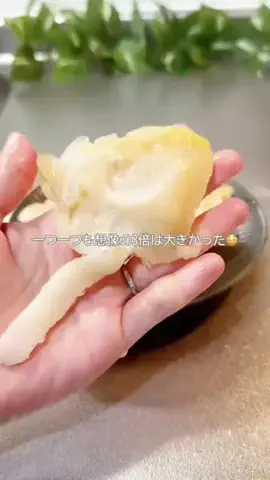 ぽめ⌇ワンオペママのTikTok投稿
