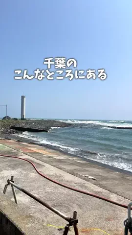 たかぎ🐼 10/24第7回オフ会開催！のTikTok投稿