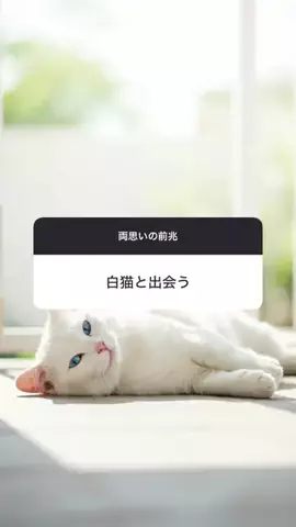 カイトのTikTok投稿