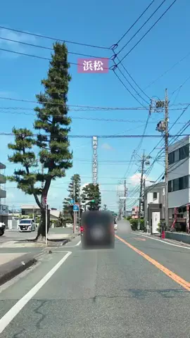 浜松グルメ｜【静岡グルメ】のTikTok投稿