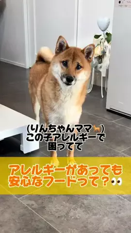 おっとり王子🐶と暴れん坊将軍🐶のTikTok投稿
