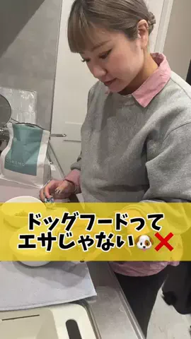 おっとり王子🐶と暴れん坊将軍🐶のTikTok投稿
