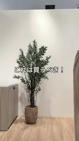 aiのTikTok投稿