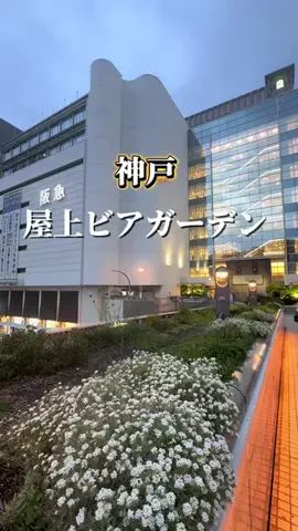 めぐっぺのTikTok投稿