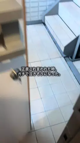 りんかのTikTok投稿