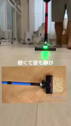ぷぅやんち猫のTikTok投稿
