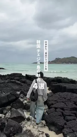 かいのTikTok投稿