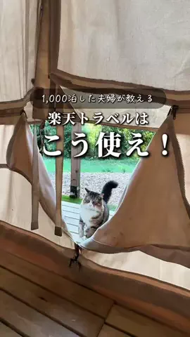 ぴち家@旅する家族　旅行/お出かけ/グルメのTikTok投稿