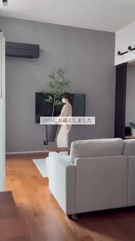 うみ⌇30坪で叶う快適な家づくりのTikTok投稿