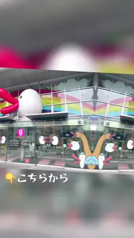 おじさんのTikTok投稿