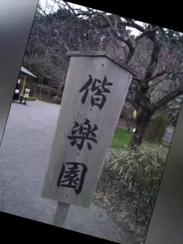 おじさんのTikTok投稿