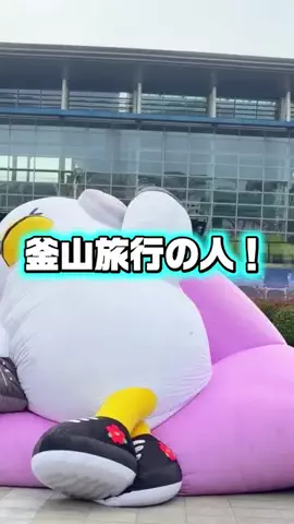 I Korea U 아이코のTikTok投稿