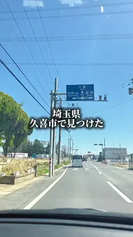 埼玉北部/店主にインタビューのTikTok投稿