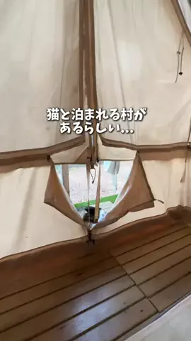 ぴち家@旅する家族　旅行/お出かけ/グルメのTikTok投稿