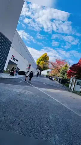 おじさんのTikTok投稿