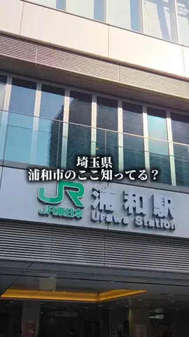 埼玉北部/店主にインタビューのTikTok投稿