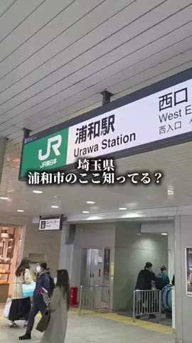 埼玉北部/店主にインタビューのTikTok投稿