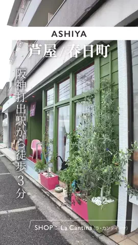 nishinomiya_lemonのTikTok投稿