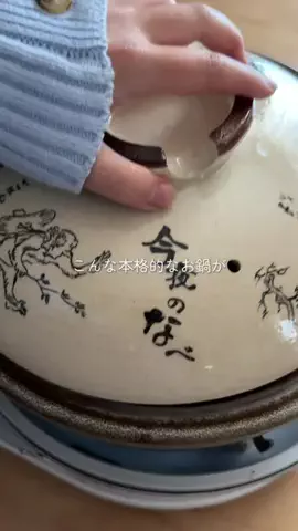ぽぽのTikTok投稿