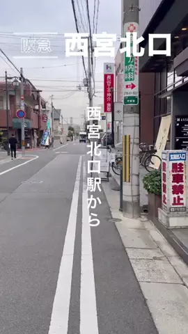nishinomiya_lemonのTikTok投稿