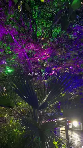 #デート案内人 in関西のTikTok投稿