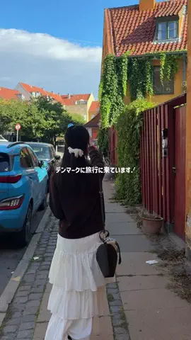 naco travelerのTikTok投稿