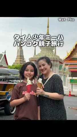 ミーハです (Meehaa)のTikTok投稿