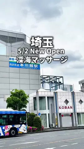 saitama_guide_mihoのTikTok投稿