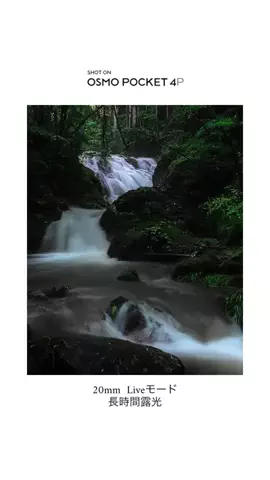 RKPhoto_9/ｱｰﾙｹｰﾌｫﾄﾅｲﾝ📷のTikTok投稿