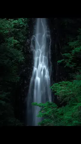 RKPhoto_9/ｱｰﾙｹｰﾌｫﾄﾅｲﾝ📷のTikTok投稿