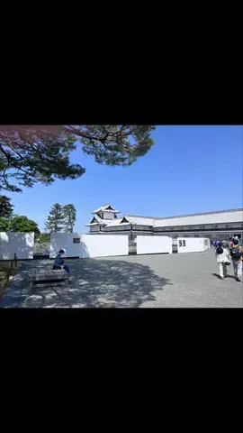 tada/ただのTikTok投稿