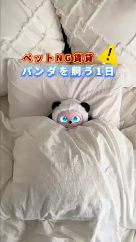 COCO | 暮らしを彩るアイデア🌿のTikTok投稿