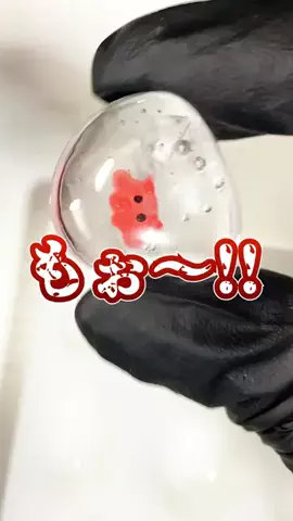 めんだこのTikTok投稿