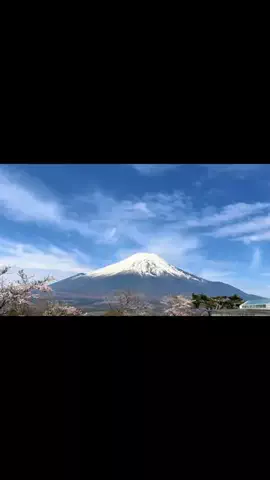 まろん🍑🌰開運🐲🐲✨のTikTok投稿