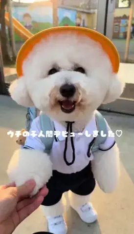 まる。の日常のTikTok投稿