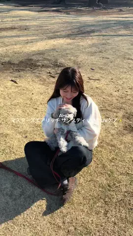 momoのTikTok投稿