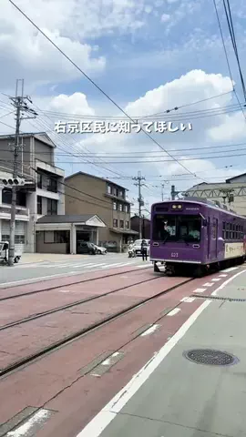 うきょっこ | 右京区地域メディア🌿のTikTok投稿